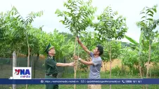 Đồng bào Chứt ở Rào Tre đổi thay từ những sinh kế bền vững