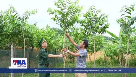 Đồng bào Chứt ở Rào Tre đổi thay từ những sinh kế bền vững