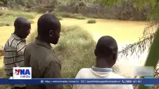 Khai thác vàng trái phép đe dọa sinh kế tại Côte d’Ivoire