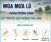 Phòng chống bệnh lây truyền qua đường tiêu hóa trong mùa mưa lũ