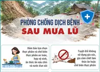 Những lưu ý phòng chống dịch bệnh sau mưa lũ