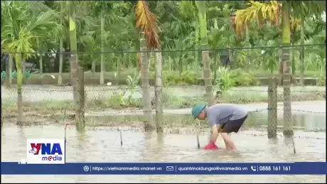 Ninh Bình tập trung tiêu úng bảo vệ sản xuất nông nghiệp