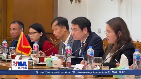 Thúc đẩy quan hệ Đối tác toàn diện Việt Nam - Ai Cập