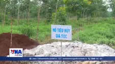 Đồng Nai tiếp tục chuyển hồ sơ trại lợn nhiễm chất cấm sang công an