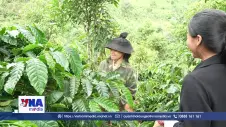 Kỳ vọng vào những Trưởng thôn “GenZ” ở vùng sâu, vùng xa
