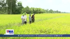 Cà Mau chủ động ứng phó El Nino