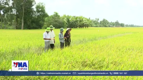 Cà Mau chủ động ứng phó El Nino
