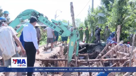 Chủ động ứng phó triều cường, sạt lở, bảo vệ vùng chuyên canh sầu riêng