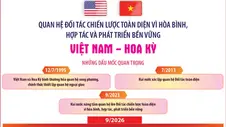 Quan hệ Đối tác chiến lược toàn diện vì hòa bình, hợp tác và phát triển bền vững Việt Nam - Hoa Kỳ