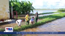 Ninh Bình huy động 800 máy bơm điện tiêu úng, bảo vệ lúa Mùa