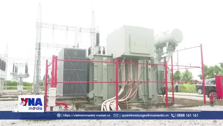 Cà Mau đầu tư Nhà máy điện mặt trời trên 800 tỷ đồng