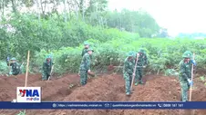 Quy tập 6 hài cốt liệt sĩ tại khu Thành Cổ, Quảng Trị