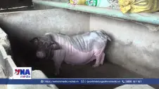 Tạo thêm nguồn lực để nông dân đầu tư sản xuất