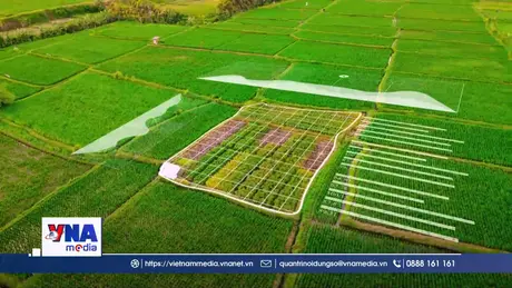 🔷 Chạm 57 đến tương lai: Cuộc cách mạng 4.0 trên đồng ruộng