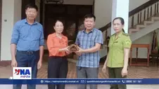 Quảng Trị tiếp nhận, cứu hộ 3 cá thể động vật hoang dã