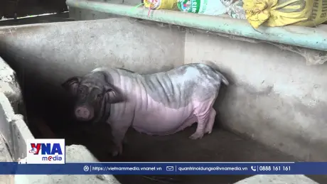 Tạo thêm nguồn lực để nông dân đầu tư sản xuất