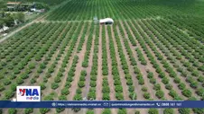 Tây Ninh tìm giải pháp mở lối cho nông nghiệp phát triển bền vững
