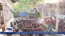 Đa dạng sinh kế, nâng cao thu nhập cho người dân vùng cao