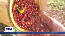 King Coffee gợi mở hành trình kết nối cà phê, di sản và du lịch