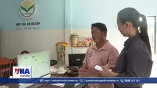Nông dân Đắk Lắk số hóa quy trình, đưa nông sản vươn xa
