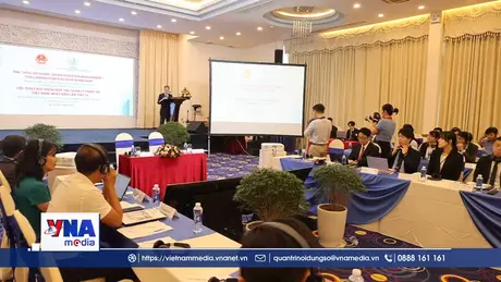 Việt Nam - Nhật Bản trao đổi giải pháp phòng, chống xói lở bờ biển