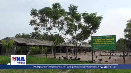 Huế: Phát triển chuỗi sản xuất hữu cơ, tuần hoàn