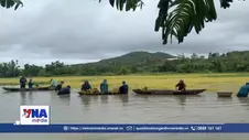 Hơn 1.000 ha lúa, hoa màu ngập úng sau mưa lớn kéo dài