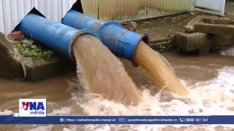 Cà Mau dồn lực tháo úng, cứu lúa, khôi phục sản xuất sau mưa lớn