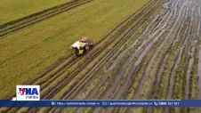 Khó khăn bủa vây nông dân ở vụ lúa hè thu 
