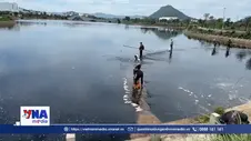 Cảnh báo không sử dụng cá chết tại hồ điều hòa Hồ Sơn