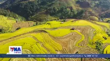 🟢 Việt Nam lọt top 10 nền kinh tế mới nổi dẫn dắt du lịch toàn cầu