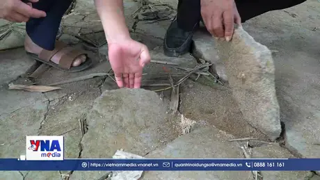 Sạt lở bờ sông Trà Khúc, gần 50 hộ dân lo lắng