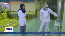 Iran đề xuất chuyển urani làm giàu sang nước thứ ba
