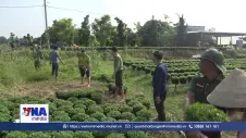 Khẩn trương khắc phục sạt lở đê bao cồn Cái Gà