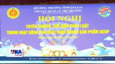 Gia Lai tăng cường quản lý, bảo vệ thương hiệu sản phẩm OCOP