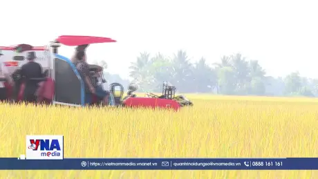 ĐBSCL: Đẩy mạnh công nghệ để tạo động lực tăng trưởng mới