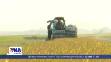Liên kết nâng cao giá trị nông sản của Ninh Bình