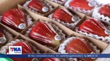 Cần Thơ phấn đấu đạt 1.400 sản phẩm OCOP