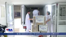 Xuất khẩu lô vaccine dịch tả lợn châu Phi lớn nhất từ trước đến nay