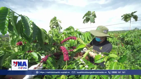 Nâng hỗ trợ phí bảo hiểm nông nghiệp lên tối đa 95%