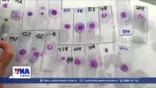 Khánh Hòa tầm soát từ vùng nguy cơ, chủ động chặn sốt rét