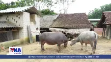 Vốn chính sách mở lối thoát nghèo nơi vùng biên Hà Tĩnh