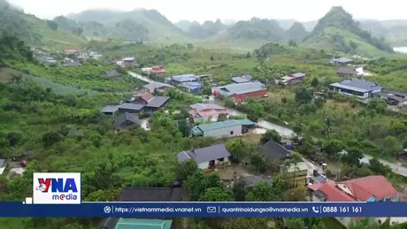 Người mang quả ngọt phủ xanh đất dốc
