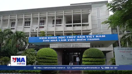 Khánh Hòa kết nối trí thức, tạo động lực phát triển