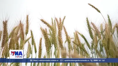 FAO kêu gọi giảm thất thoát và lãng phí thực phẩm