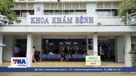 An Giang chủ động phòng chống dịch sốt xuất huyết