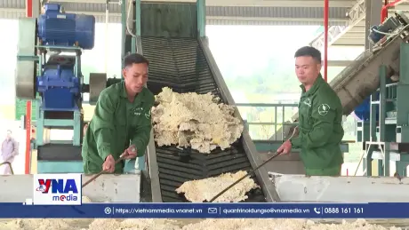 Nông nghiệp Điện Biên hướng tới những thị trường lớn