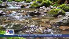 Gìn giữ màu xanh nơi cực Tây