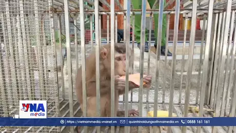 Tiếp nhận 4 cá thể động vật hoang dã 