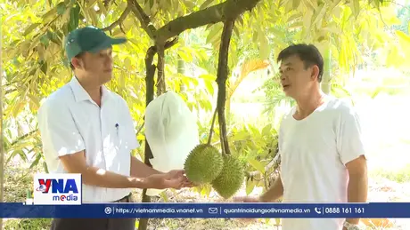 Phát triển kinh tế vườn, kinh tế trang trại